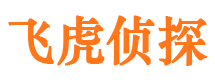 桐乡侦探公司